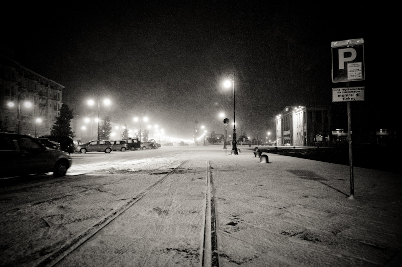 _MG_1292b.jpg