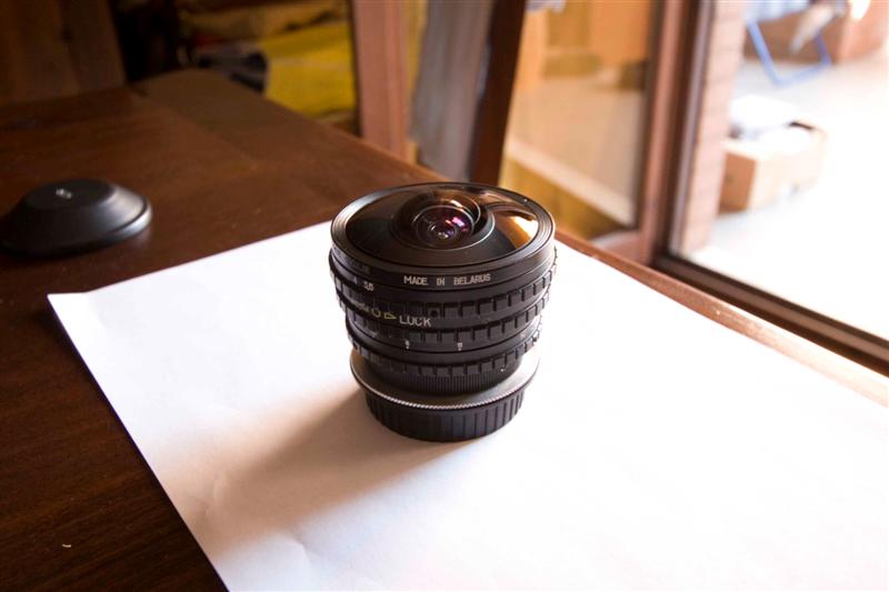 _MG_4033 (Medium).jpg