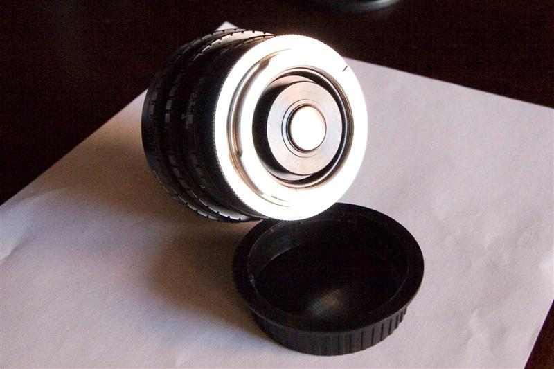 _MG_4037 (Medium).jpg