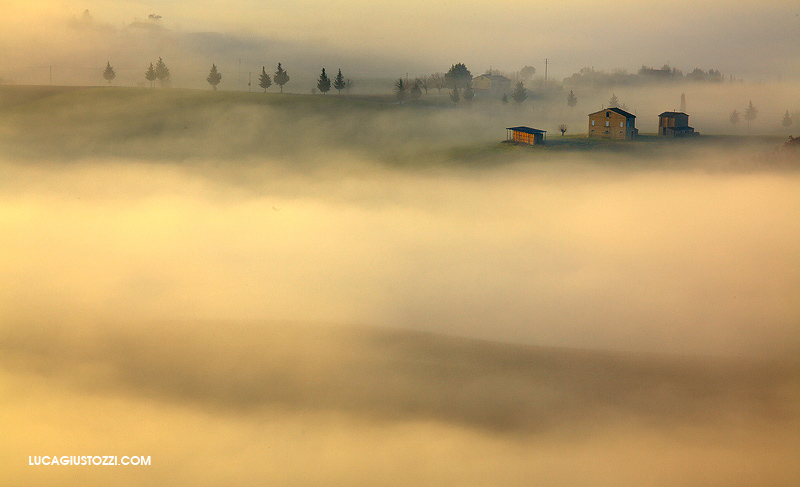 _MG_4665.jpg