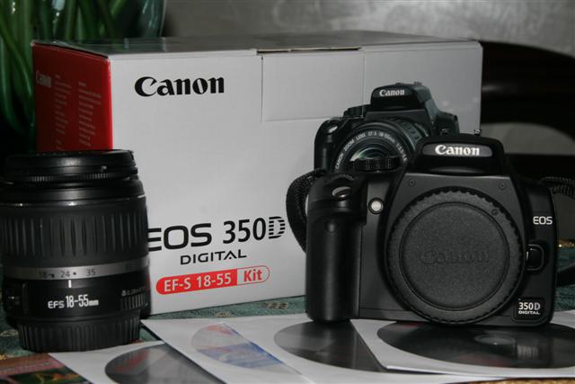 _MG_4771 (Small).JPG