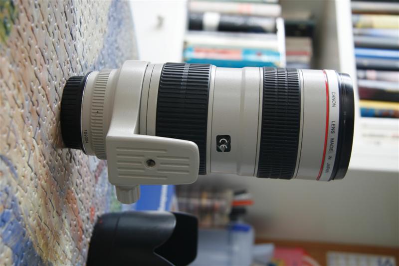 _MG_4898 (Medium).JPG