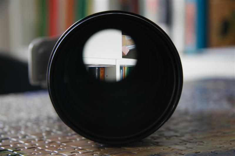 _MG_4901 (Medium).JPG