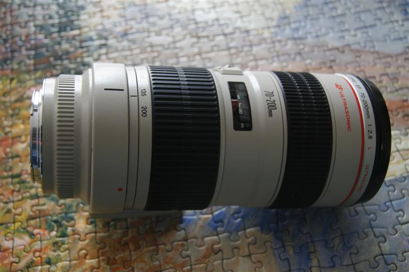 _MG_4908 (Medium).JPG