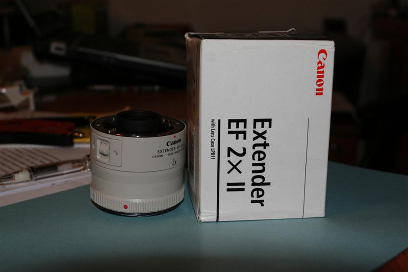 _MG_5188 (Medium).JPG