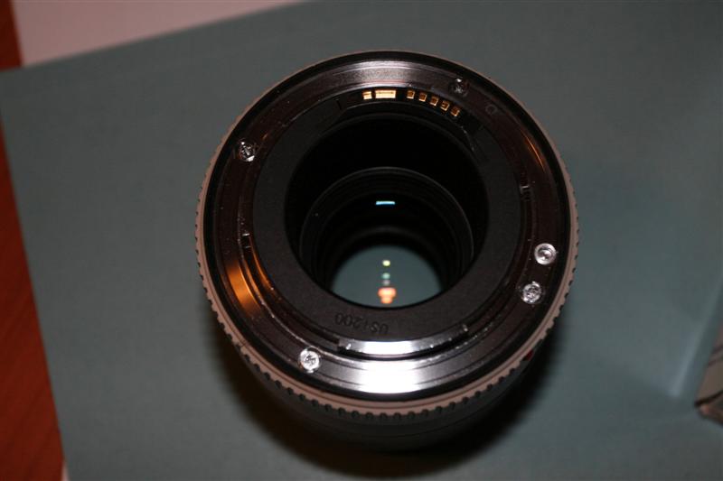 _MG_5193 (Medium).JPG