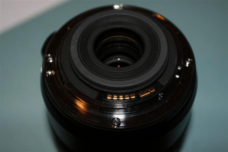 _MG_5196 (Medium).JPG