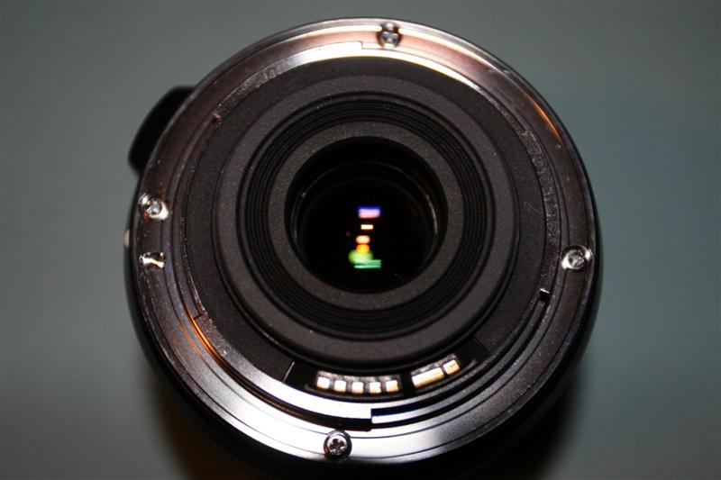 _MG_5197 (Medium).JPG