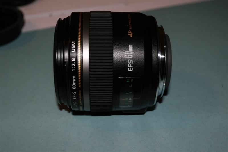 _MG_5199 (Medium).JPG