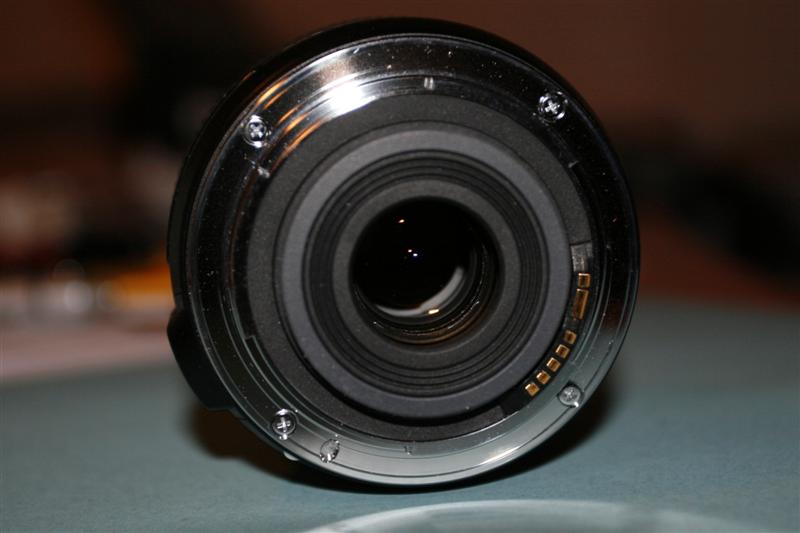 _MG_5205 (Medium).JPG