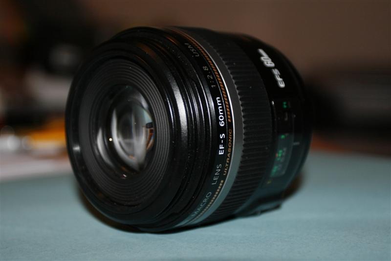 _MG_5206 (Medium).JPG