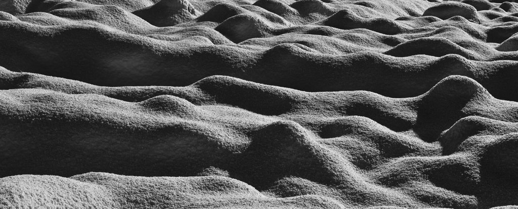 _MG_5887.jpg