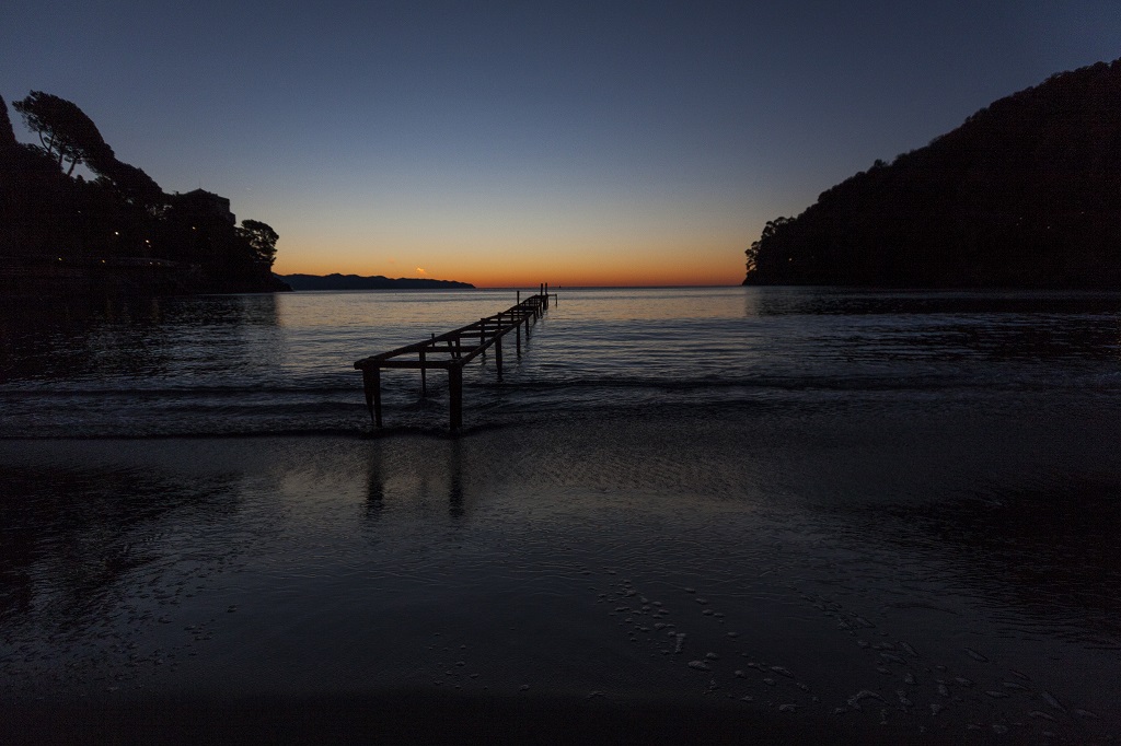 _MG_6382.jpg
