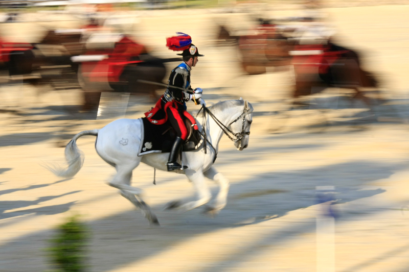 _MG_6446-Edit-2.jpg