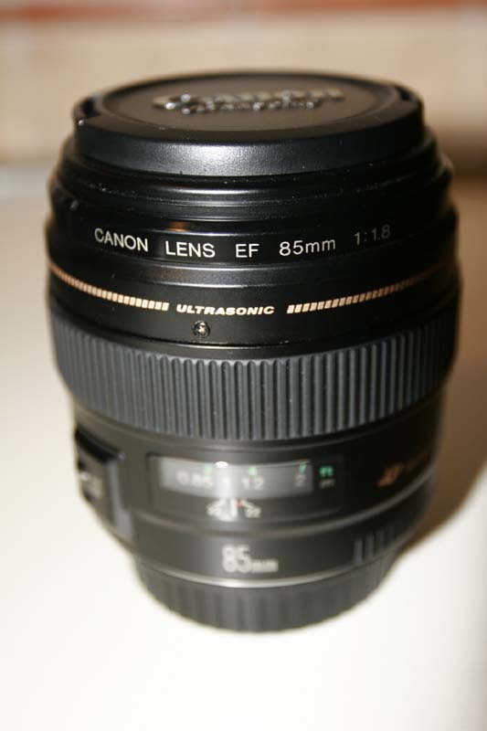 _MG_6452.JPG