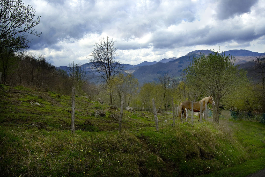 _MG_6776-A.jpg