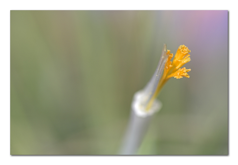 _MG_7560-01-copia.jpg