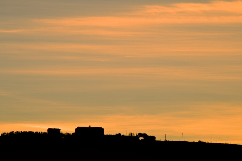 _MG_8855.jpg