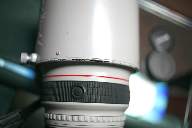 _MG_9808.jpg