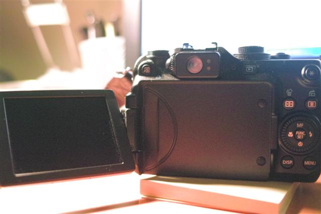 _SDI0003 (Small).JPG