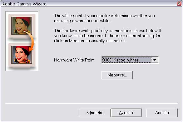 Adobe-Gamma4.jpg