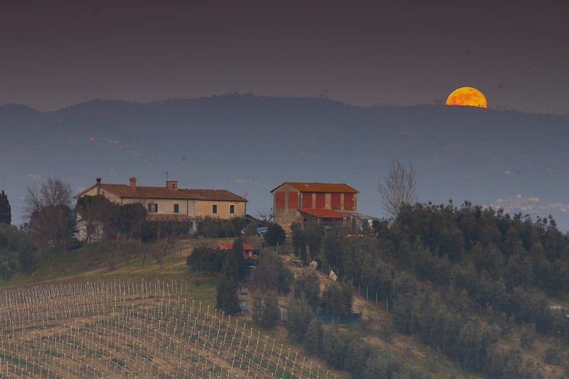 alba-luna-1.jpg
