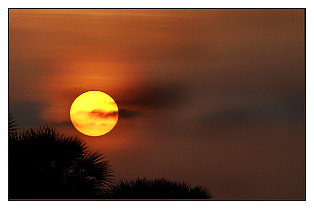 Alba-nella-savana.jpg