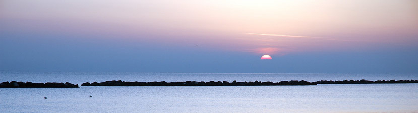 alba_682.jpg
