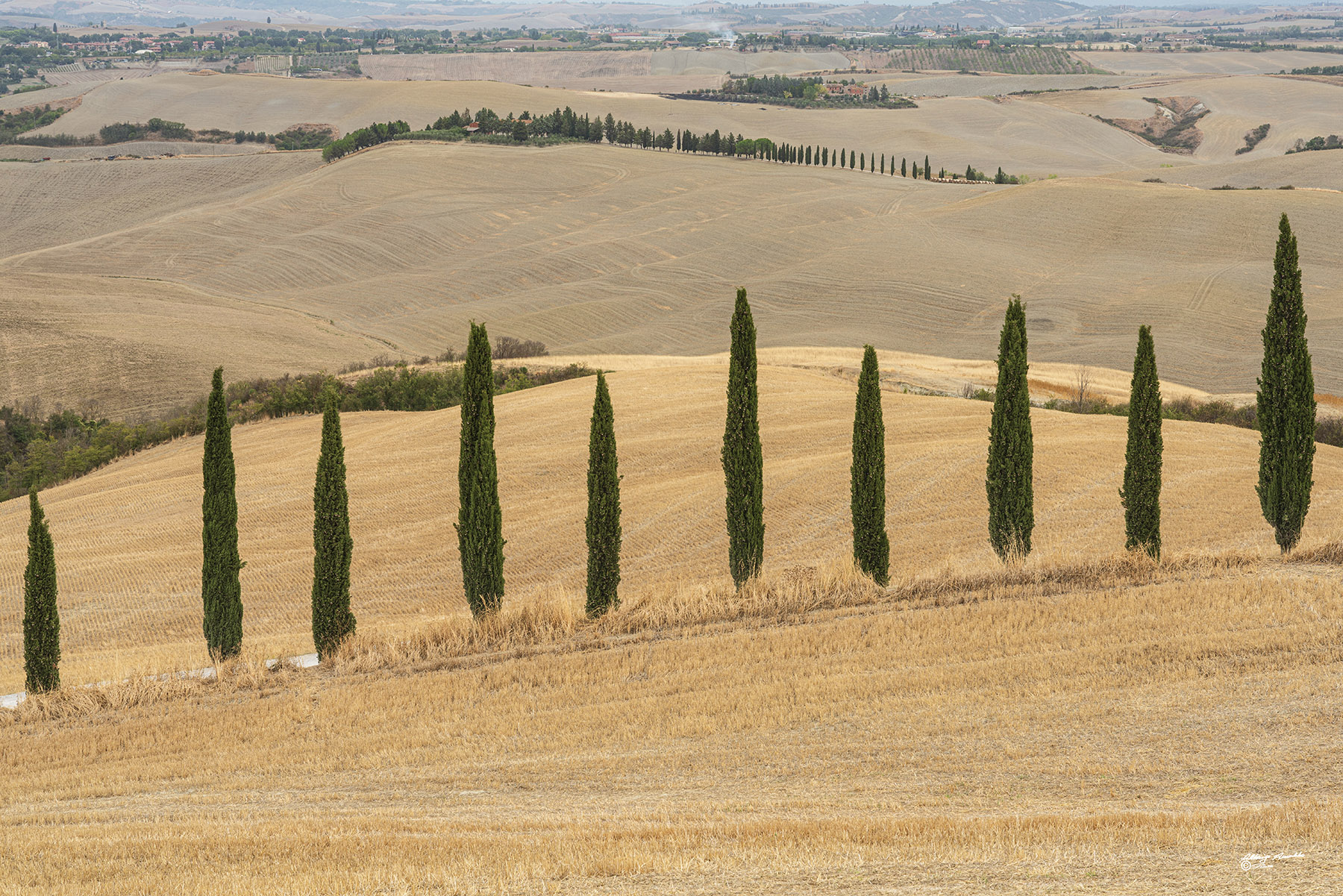 Alba Baccoleno-020- copia.jpg