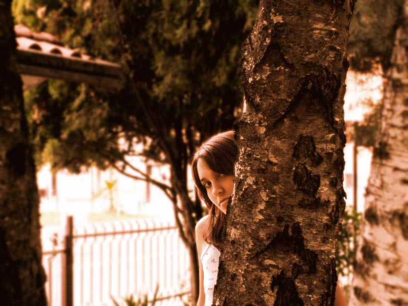 albero3_.jpg