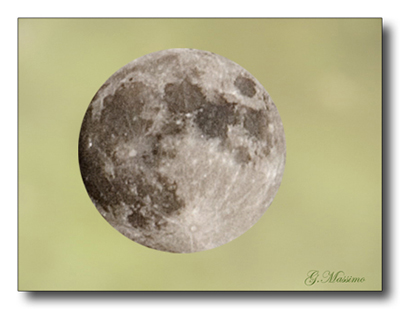 album_pic.php copia.jpg