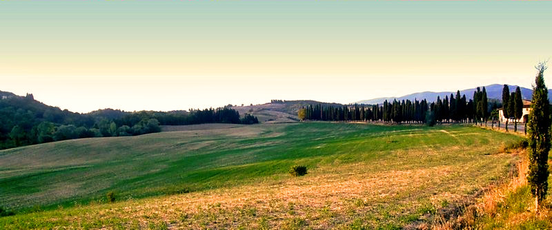 album_pic2.jpg