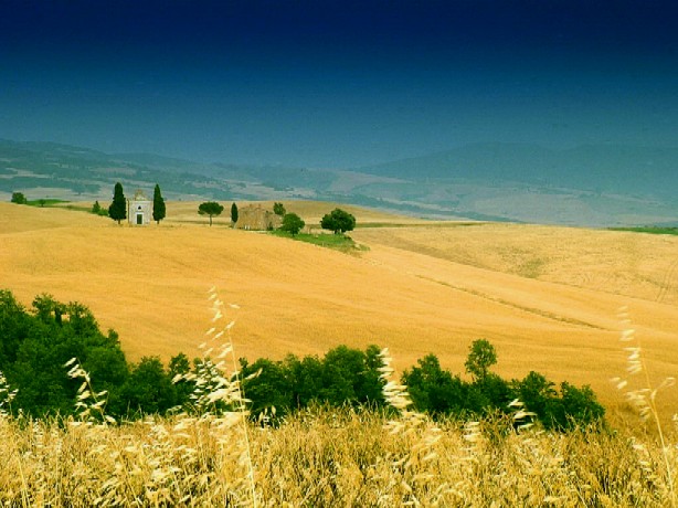 album_picCAK17TE90001.JPG
