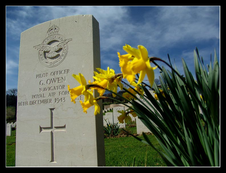 American Dream #1.jpg