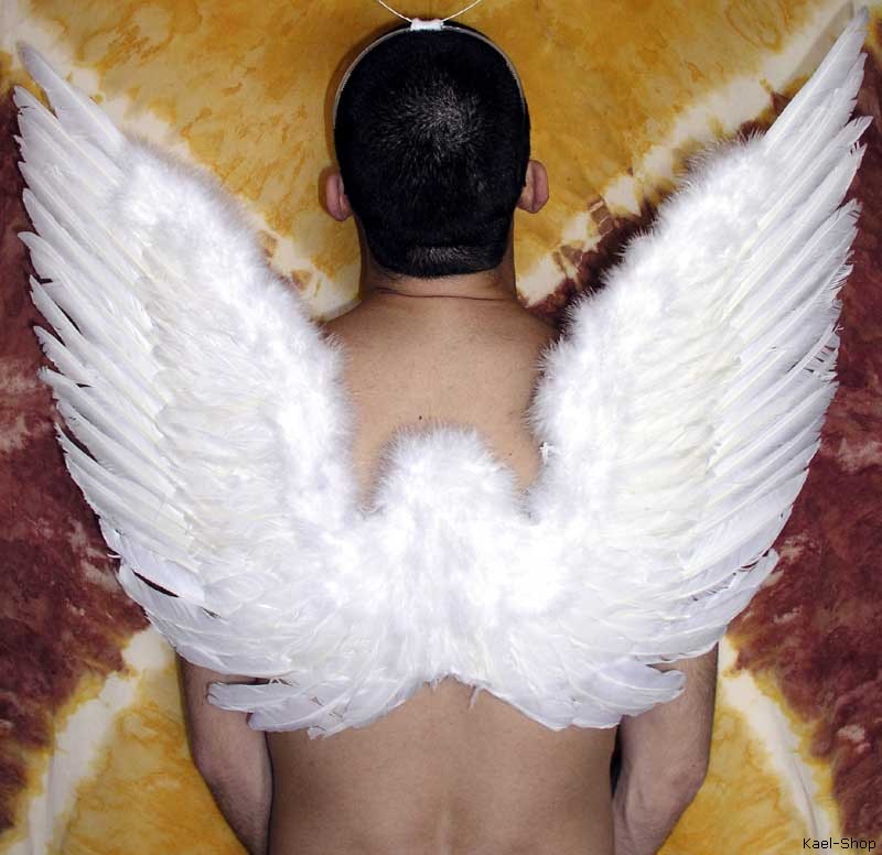 angelwings_01.jpg