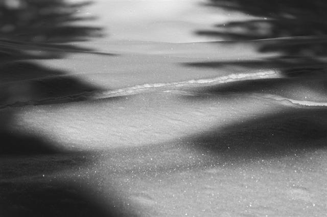 arpy165-1 (Small).jpg