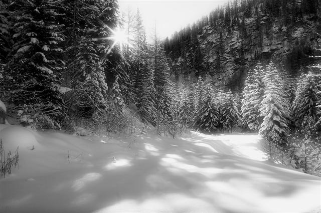 arpy9infrared (Small).jpg