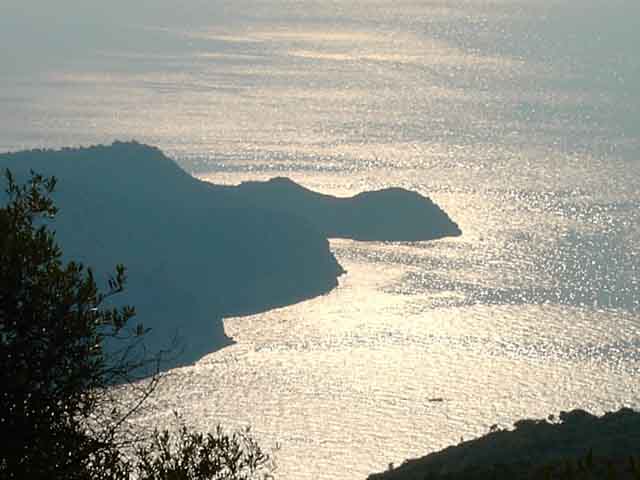 assos.jpg