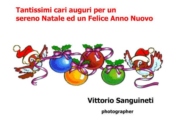 auguri-da-vittorio.jpg