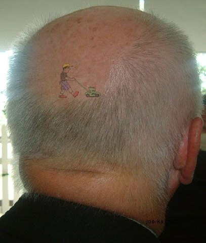 AutoHaircut.jpg