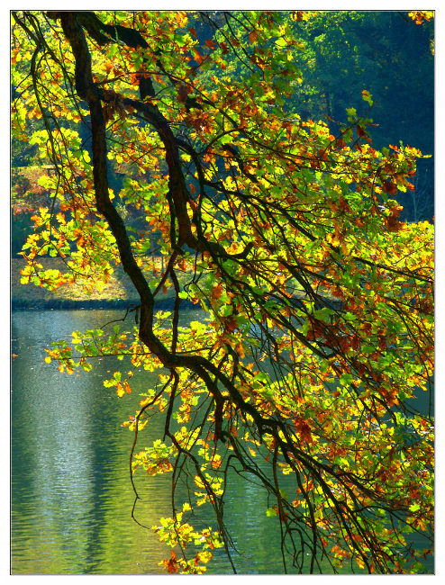 Autunno 2.jpg