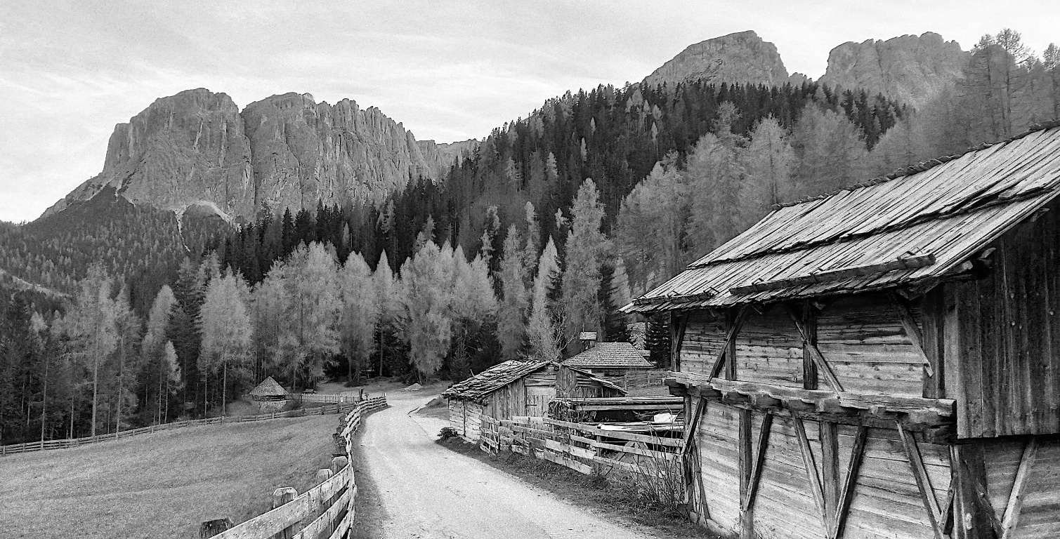 Autunno sulle Dolomiti 6 BW.jpg