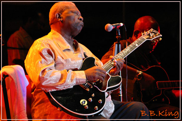 B.B.King (16)picc.jpg