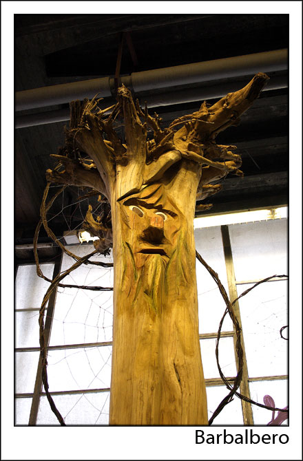 barbalbero.jpg