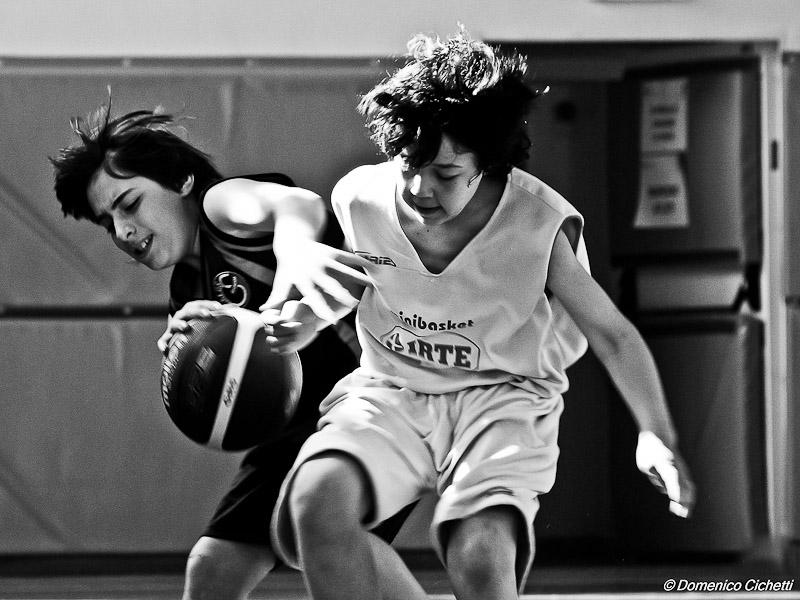 basket_05.jpg