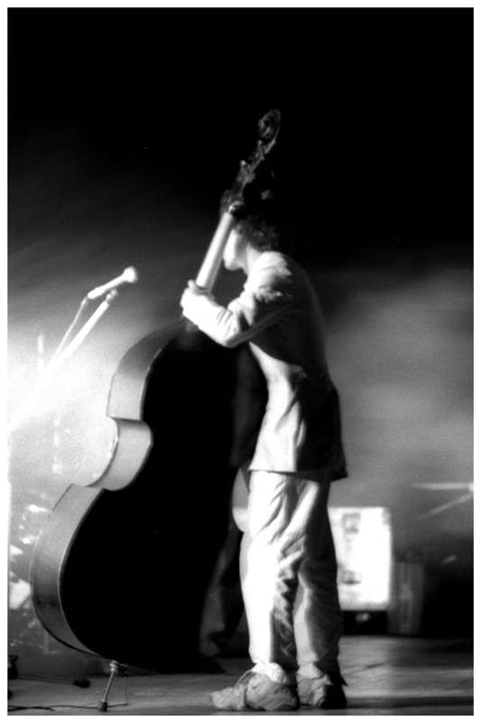 bass player.jpg