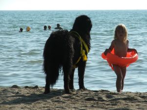 baywatch.jpg