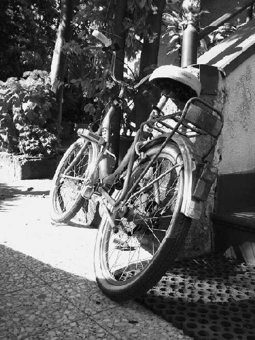 Bici.jpg