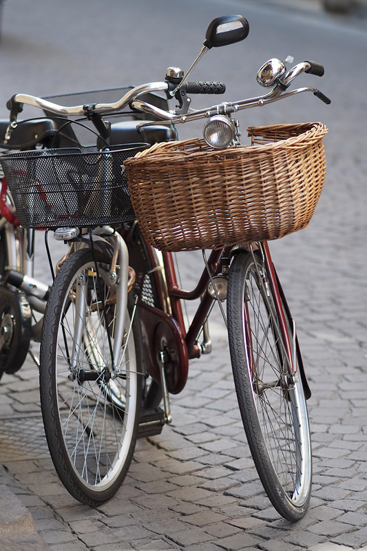 biciclette.jpg