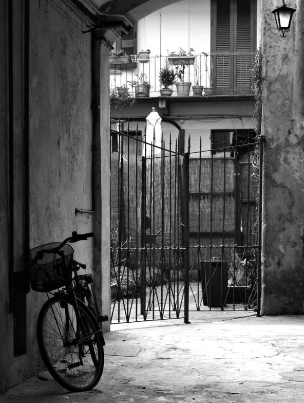 bicicropped.jpg